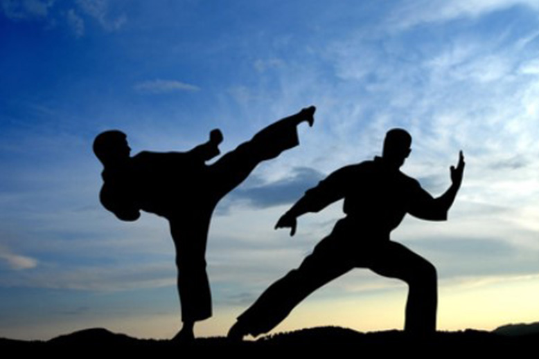 imagem da noticia sobre karate